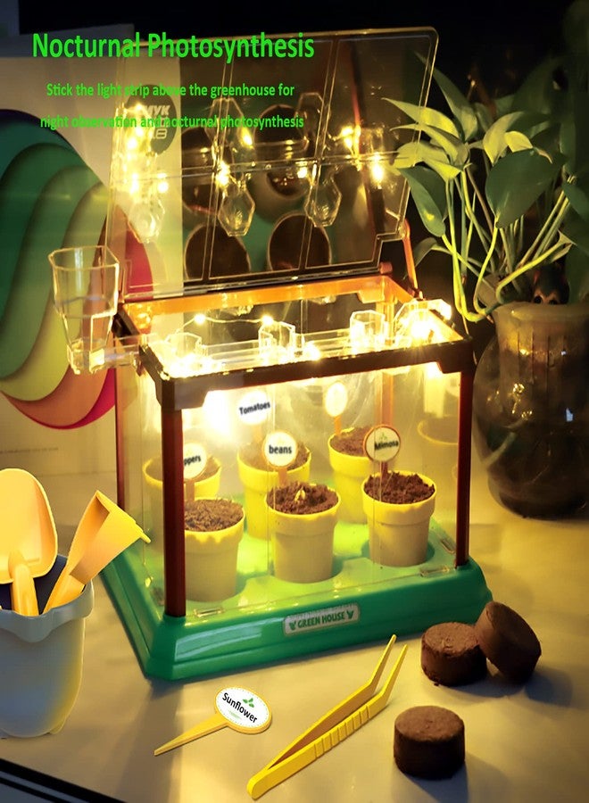 EXBEPE Kids Gardening Kit Greenhouse Growing Terrarium Kit Plant Growing Set Discovery Educational Gardening Gift for Boy & Girl - Image 3